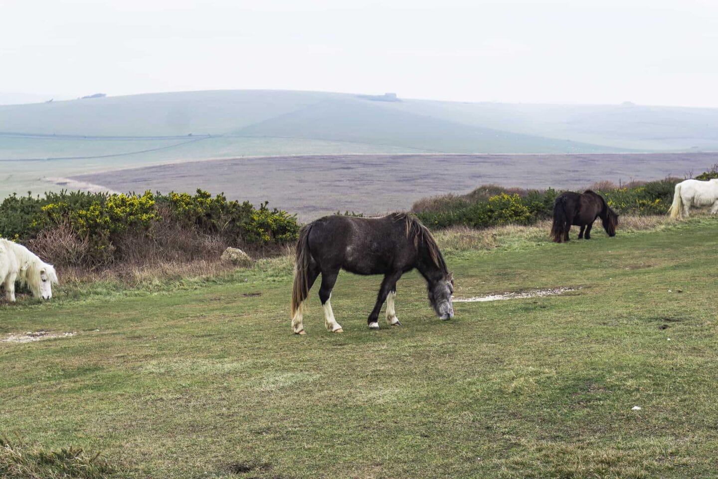 Day trip to the Seven Sisters
