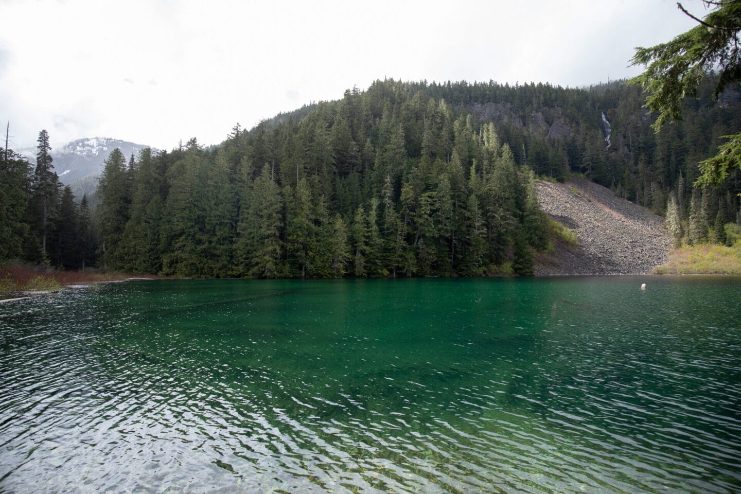 Greendrop Lake - Best hiking trails in Vancouver