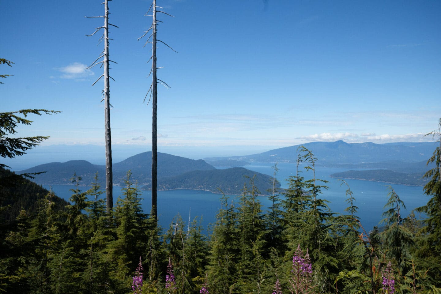 Bowen Lookout hike at Cypress Mountain in Vancouver