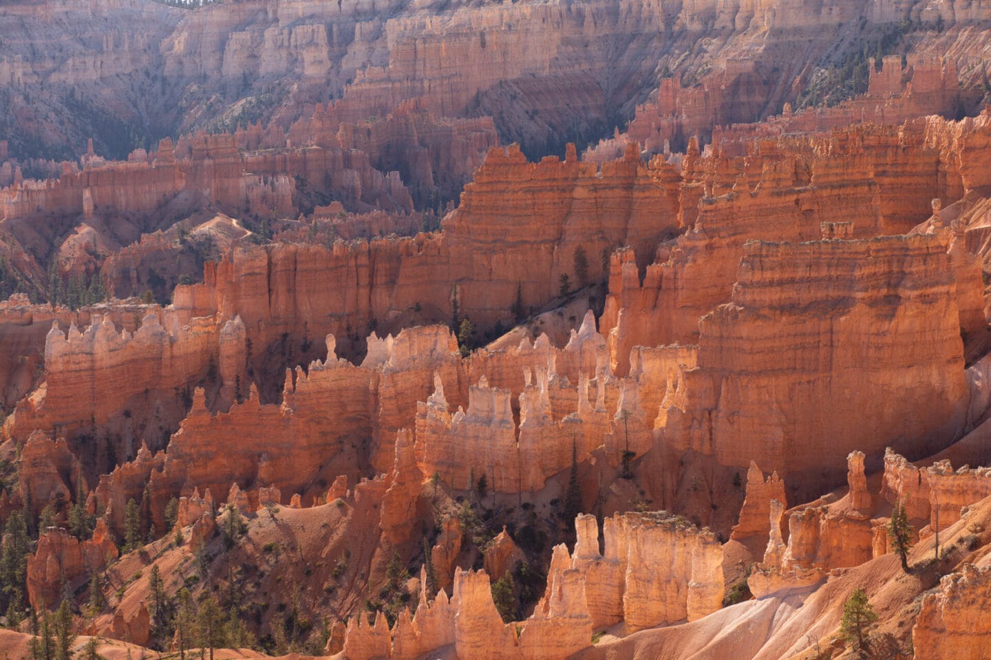 Things to do in Bryce Canyon