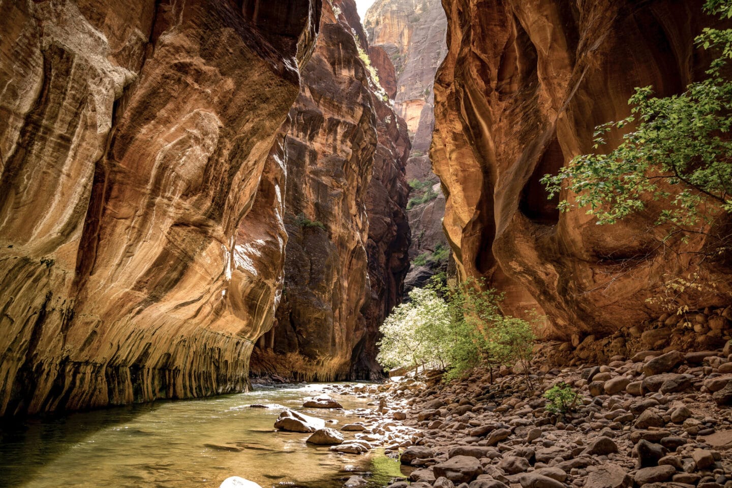 The Narrows in Zion National Park