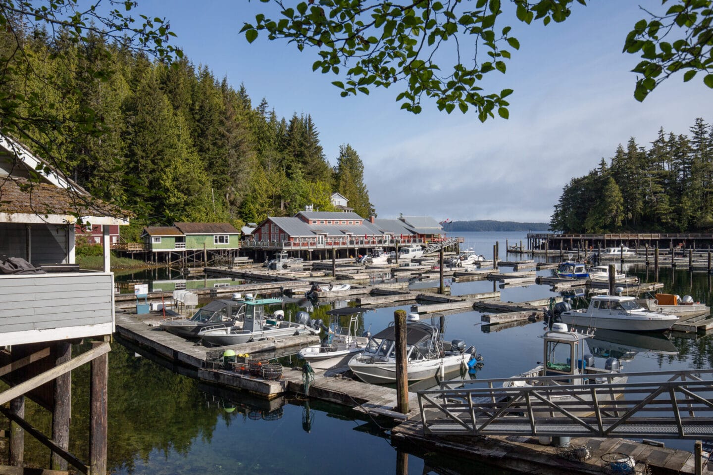 The best things to do in Telegraph Cove