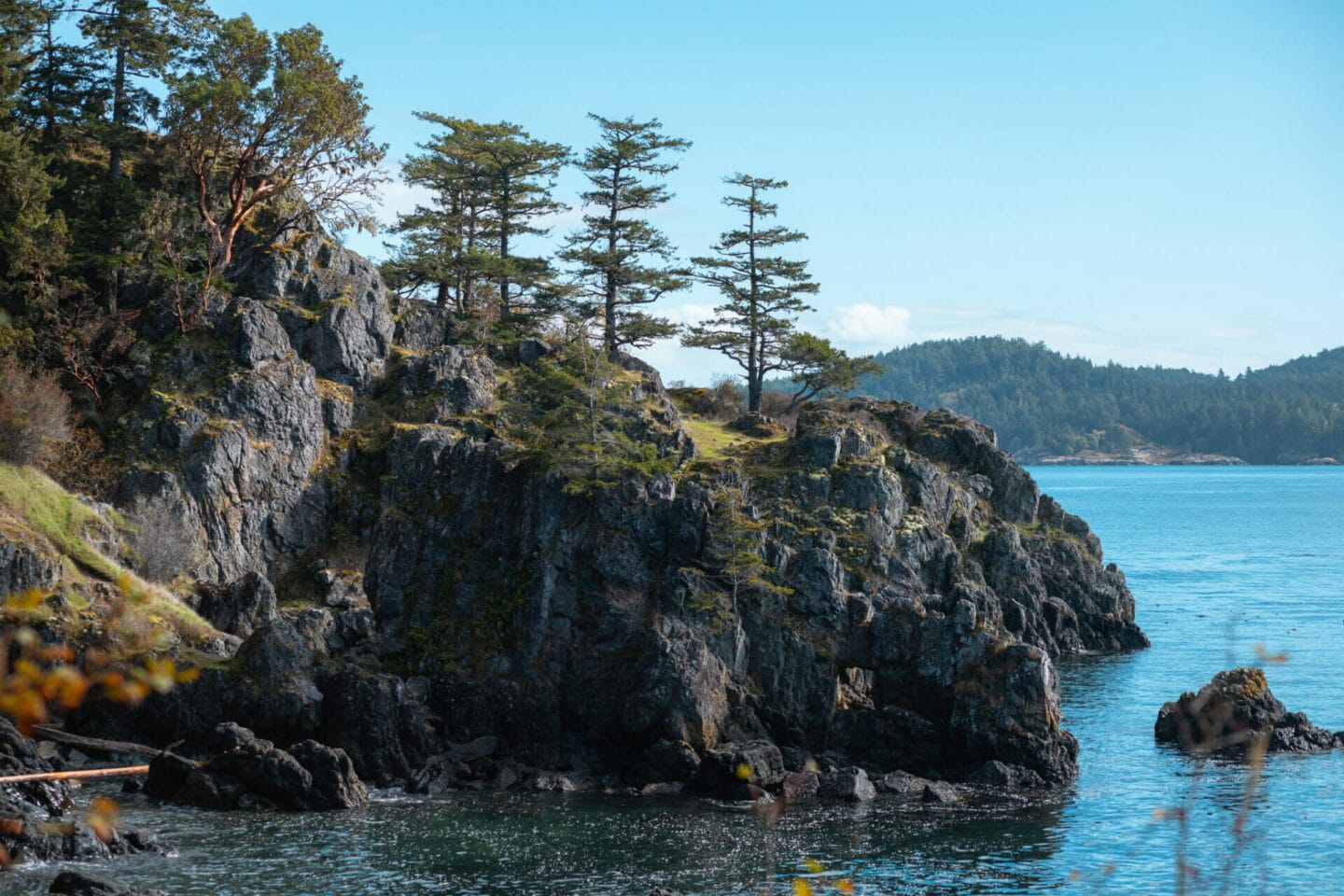 Victoria to Port Renfrew - East Sooke Regional Park