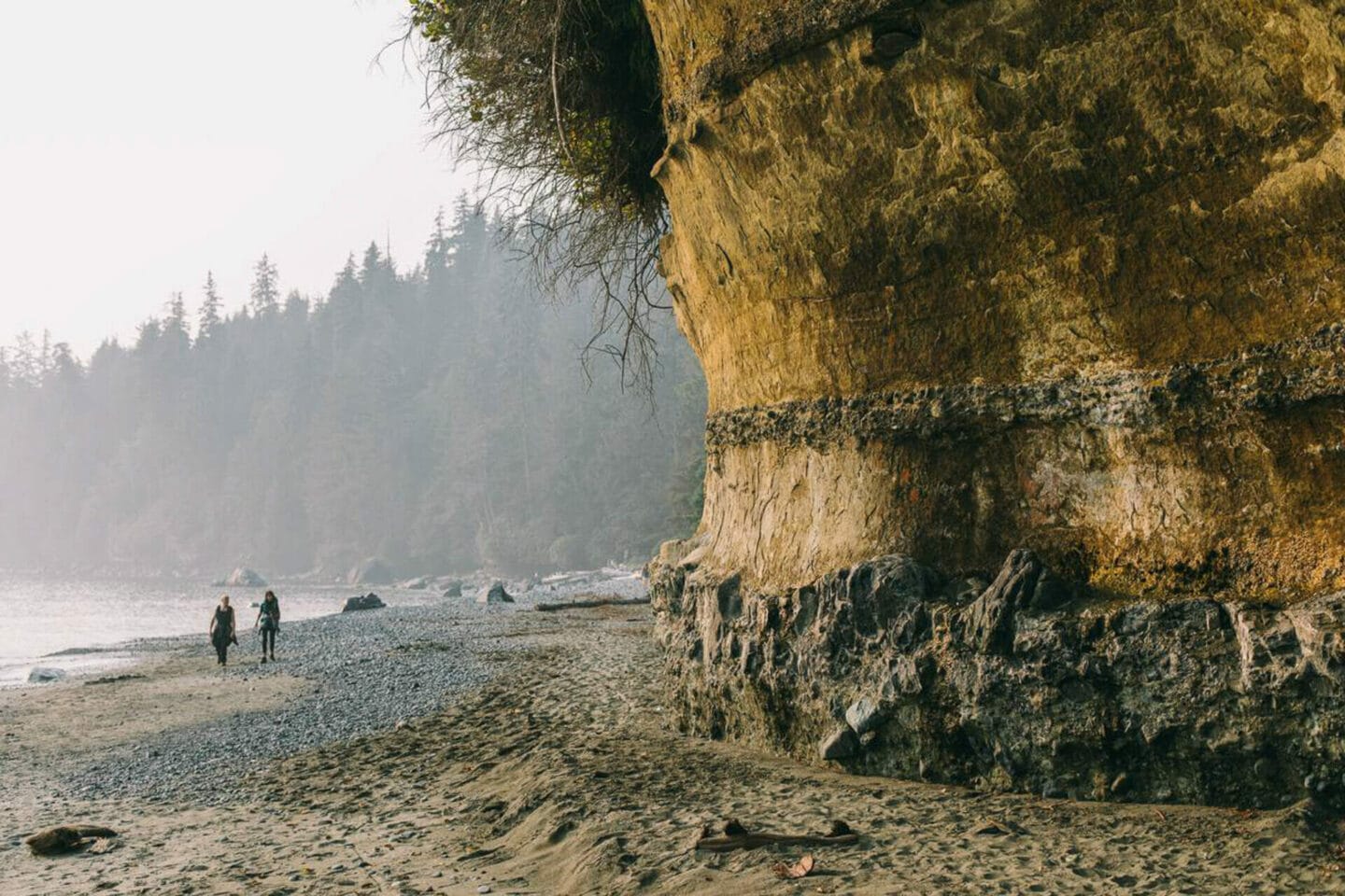 Pacific Marine Circle Route - Port Renfrew Mystic Beach