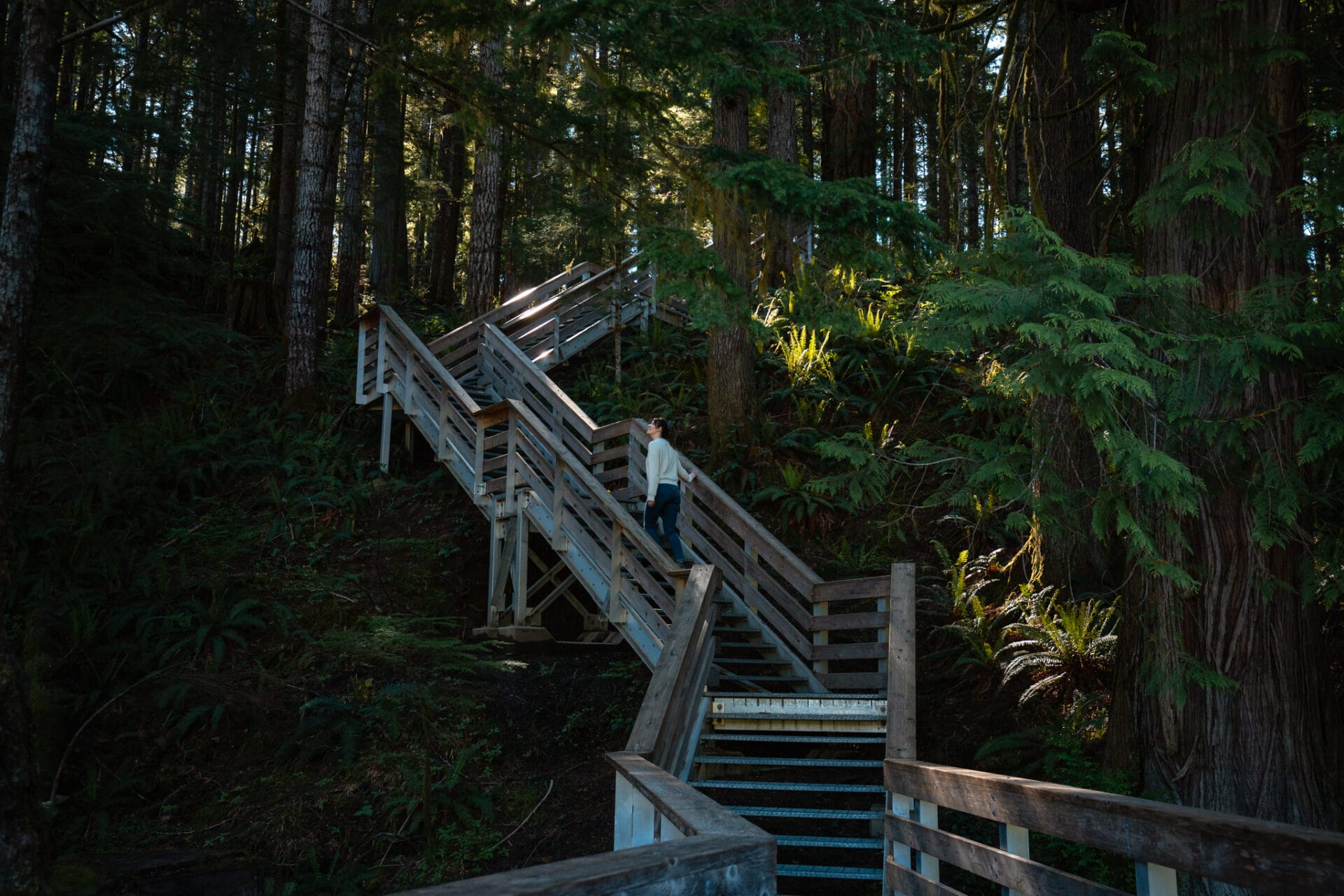 The best things to do in Campbell River