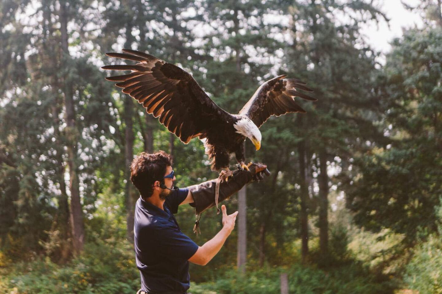 Fun things to do in Cowichan Valley - The Raptors