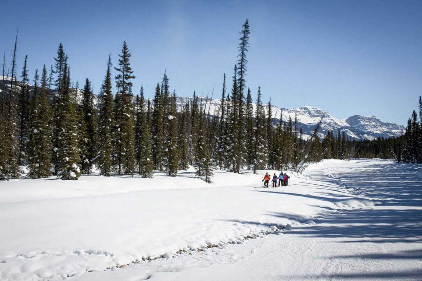 Snowshoeing is one of the most fun things to do in Banff in winter