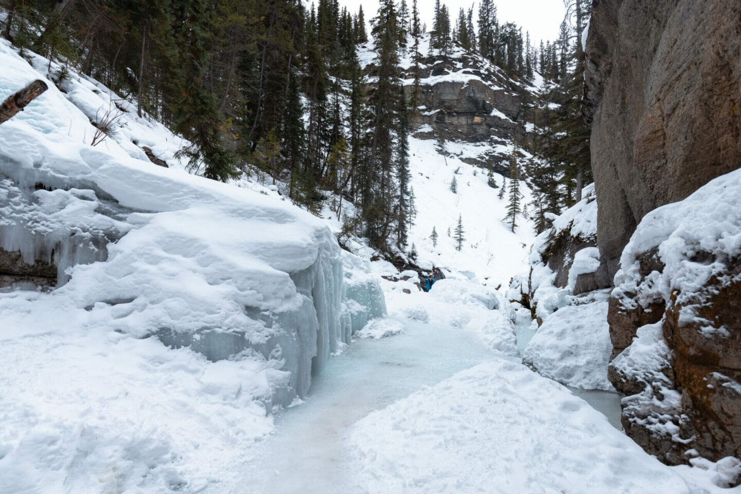 Snowshoeing is one of the most fun things to do in Jasper in winter