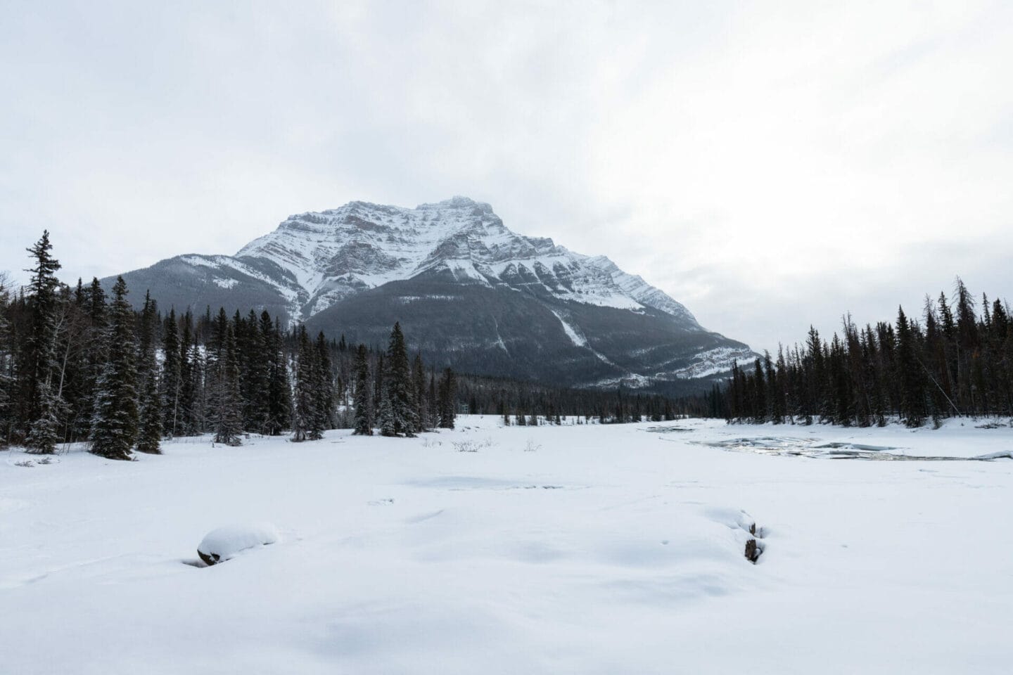 Fun things to do in Jasper in winter - cross country skiing