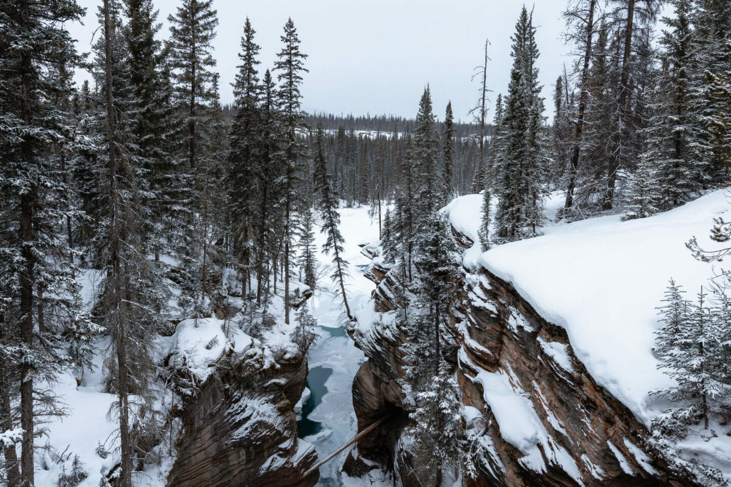 Things to do in Jasper in winter