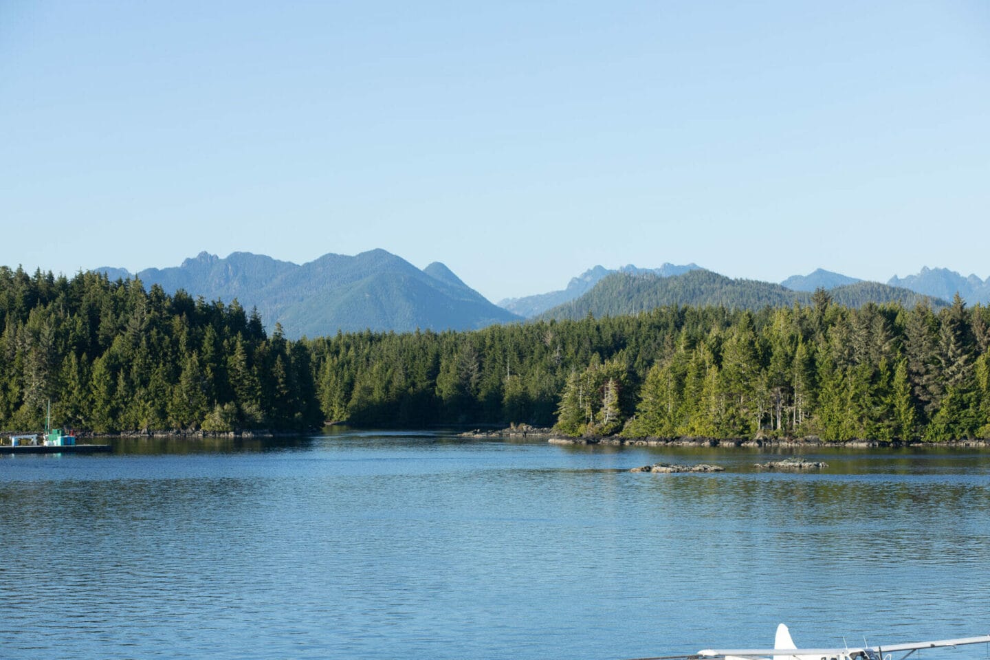 Victoria to Tofino Road Trip - Complete guide with 3 itineraries
