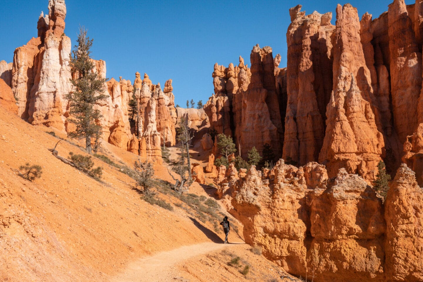 Hiking the Navajo Loop and Queen's Garden Trail in Bryce Canyon