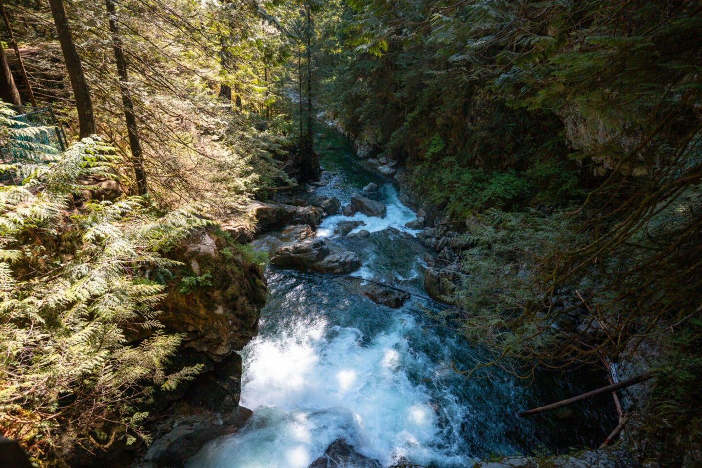 Lynn Canyon Hikes