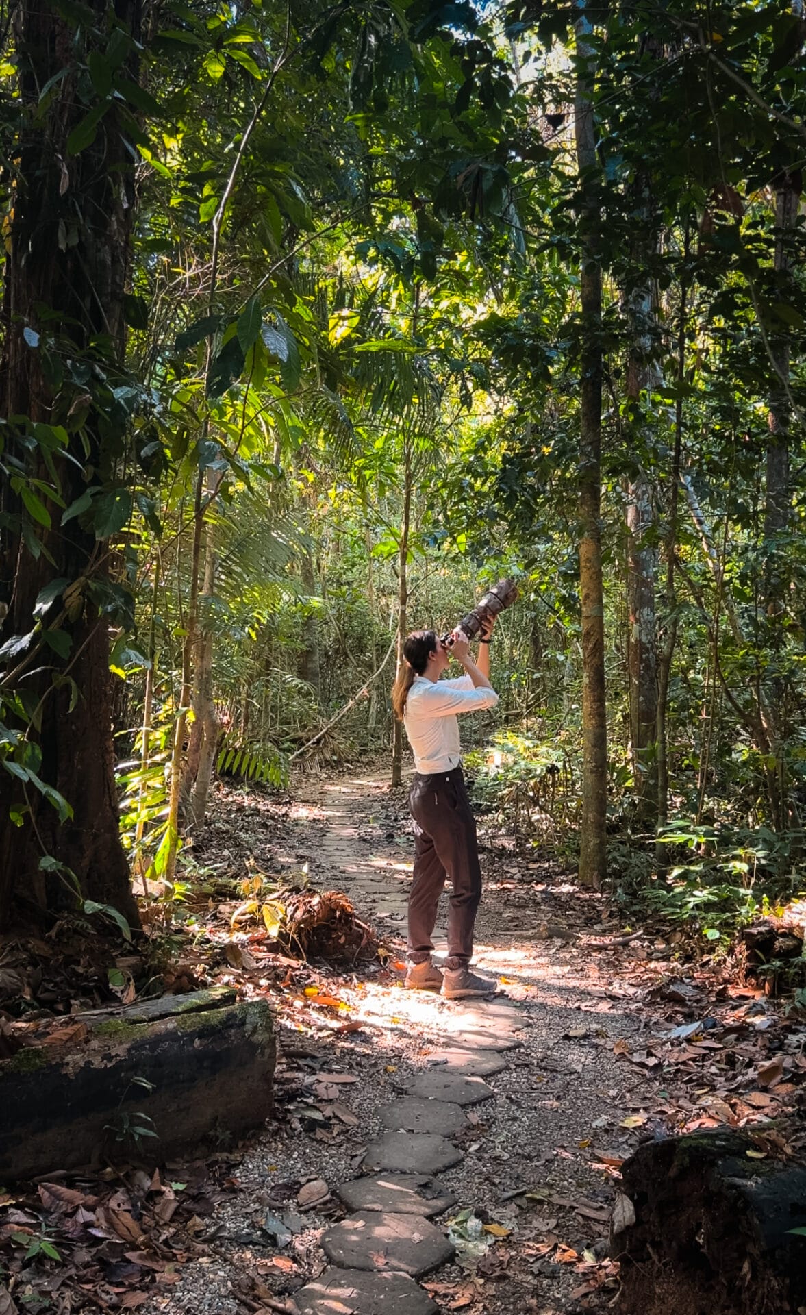 Peruvian Amazon 